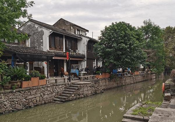 土壤板结,盆栽快死了,随手插根吸管,土壤瞬间疏松透气,猛开花
